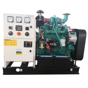 Electricity Generation  25KVA 20KW  Diesel Generators 50HZ 60Hz Power Marine Generator