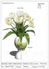 Erainlife china factory resin vase,flower vases,decorative vase for home