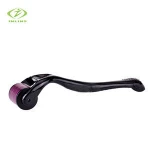 Facial Acne Treatment Professional Anti Aging Skin Care 540 Microneedle Derma Roller