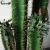 Import Factory directly  ornamental bonsai plants decorative artificial cactus plant from China