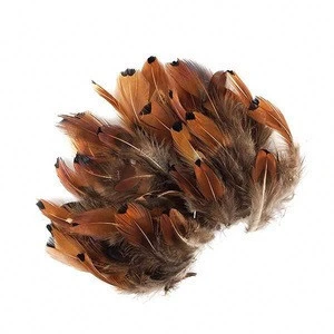 Factory Directly Supplier hot selling 2-3&quot; Ringneck Pheasant Body Plumage for sale