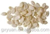 Factory price for high quality watermelon seeds kernels