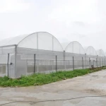 Factory Price Green House Plastic Film Greenhouse Multi Span Greenhouse