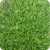 Import Factory wholesale artificial grass turf home garden decorative sports flooring from China