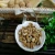 Import Factory wholesale high quality walnuts from China
