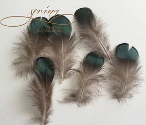 Factory wholesale Pheasant Feathers, GREEN Golden Pheasant feathers 6-8cm