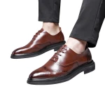 Fancy Brands Mens Dress Shoes Leather Genuine with Pointed Toes Style