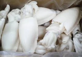 FDA/HACCP/ISO FROZEN WHOLE CLEANED CUTTLEFISH
