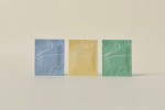 Feminine Hygienic Wet Tissue FDA Certified High Quality Women Intimate Toilet Tissue made in Korea