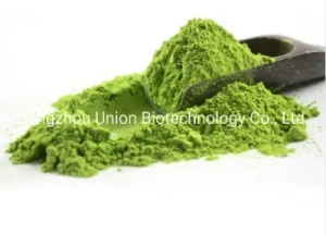Food Ingredient Natural Organic Matcha Green Tea Jas/EU/Nop Certified