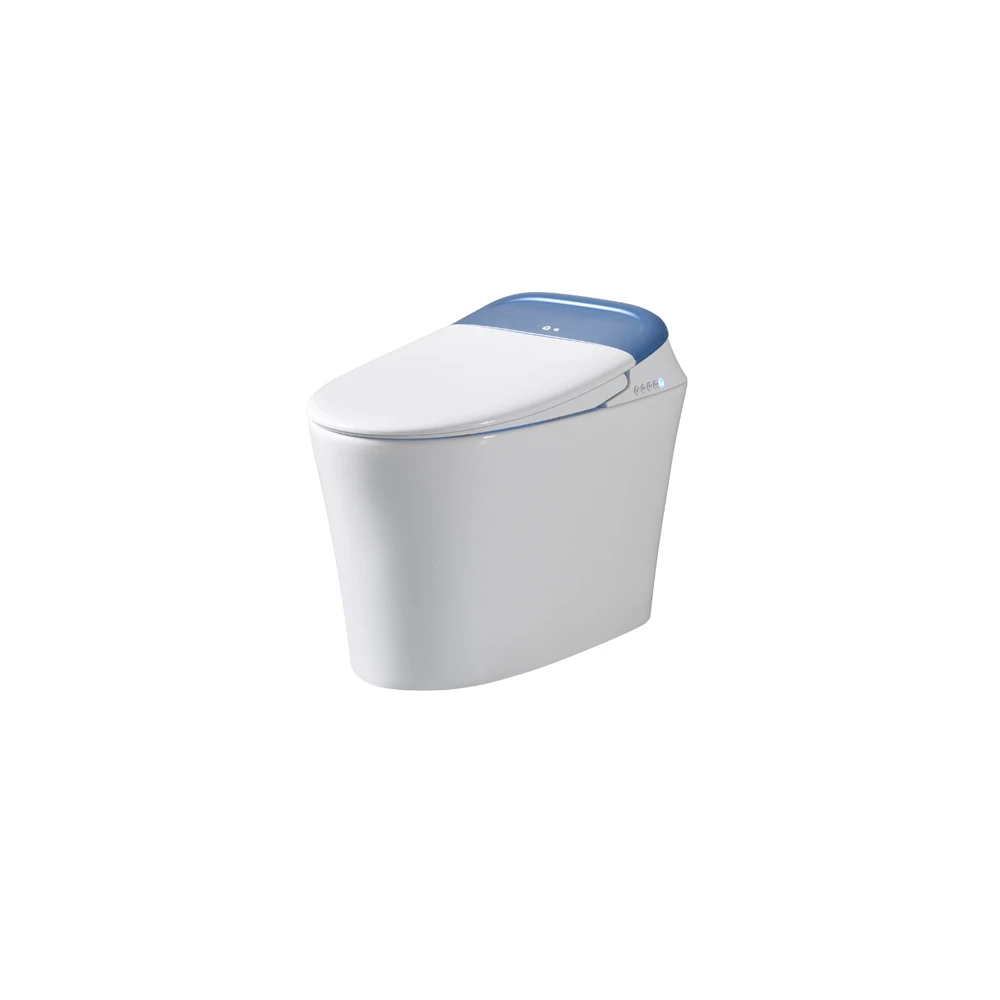 Foshan Sanitary Ware Ceramic Intelligent Toilet