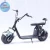 Import Free Shipping Self balancing scooter 12 inch electric scooter 1500W citycoco scooter from China