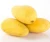 Import Fresh Alphonso Mangoes Exporters in India from Philippines