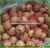 Import Fresh Apples quality manual from Shandong province from China