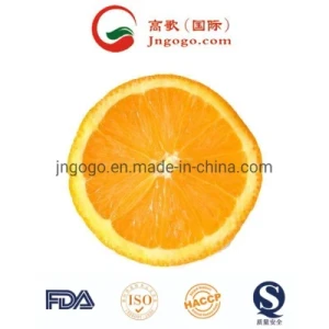 Fresh First Quality Navel Orange Supplier