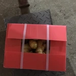 Fresh ginger 2018