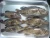 Import Fresh Grouper Fish whole round Seafood from Indonesia