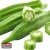 Import Fresh Okra ,Organic Fresh Okra for sale from Pakistan
