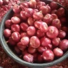 Fresh Onions Onionfresh Red Onion China Exports Wholesale Price Hot Selling Vegetable Fresh Natural Red Purple
