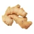 Import Fresh Organic Ginger from India from USA