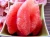Import Fresh Pink Pomelo in Vietnam_CTD In&#x27;t from Vietnam