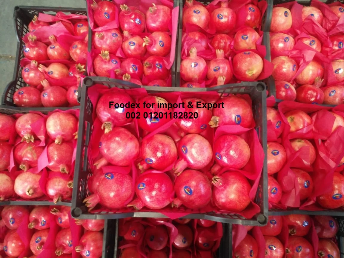 Fresh Pomegranate 2020 from Egypt