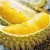 Import FRESH RI 6 DURIAN EXPORT WHOLESALE -  BEST SELLING HIGH QUALITY WITH BEST PRICE from China