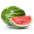 Import FRESH SWEET WATER MELON from South Africa