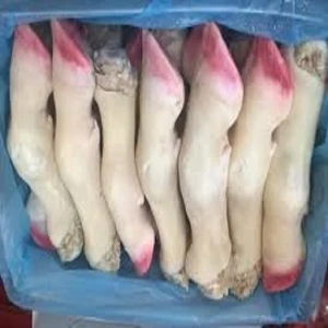 Frozen Beef Feet / Cow Legs For Sale