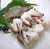 Import Frozen Blue Swimming Crab Prices For Crab Buyer from China