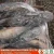 Import frozen seafood chinese supplier wr fish from China