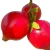 Import Fruit Pomegranate Dark Red Fresh Bulk Quantity High Volume from India