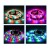 Import Full color new smd 5050 rgb led strip sets with led connector from China