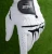 Import Full Sheep leather Golf Glove from China