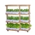 Import Fully Automated Smart Hydroponic Pots at-Home Grow System with Hydroponic Trays from China