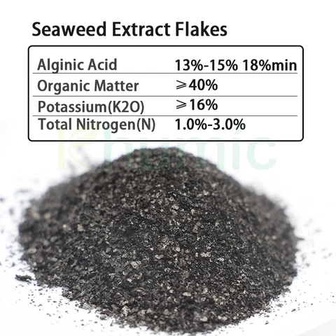 Fully water soluble plant growth regulator Potassium Nitrogen alginic acid fertilizer Ascophyllum Nodosum seaweed extract flakes