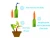 Import Garden Automatic Plant Self Drip Watering Irrigation Spikes from China