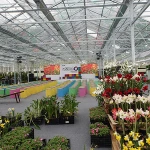 Glass Greenhouse For Large Mechanical Production Or Showcase
