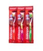 Goldengate high quality big head toothbrush with massage rubber