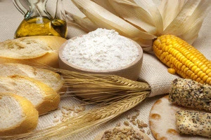 Good quality food grade sweetener corn starch price