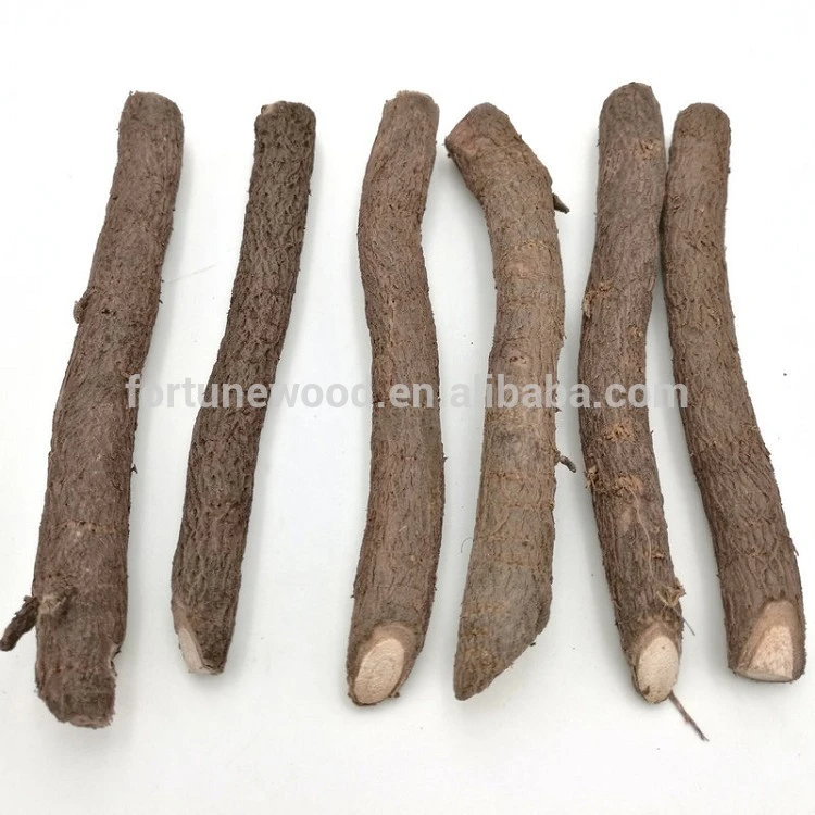 Grade A intercropping and cold resistant paulownia shantong root seeds