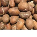 GRADE A SUPER KOLA NUTS WITH GOOD PRICE