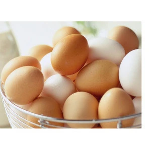 Grade AA Table eggs white and brown for sale