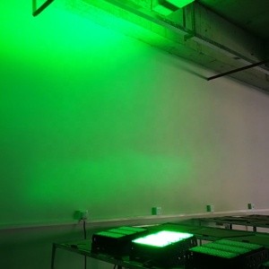 Green Color Floodlight for Park Concert Stage Lights IP 65 Grade 5 Years Warranty 500W LED Flood Lamp