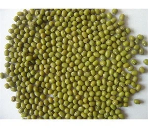 Green Mung Beans Myanmar or any other origin