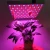 Import Grow LED Red Blue Light Planting Lamp 14W 225 LED Full Spectrum LED Grow Lights from China
