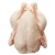 Import Halal Whole Frozen Chicken from South Africa