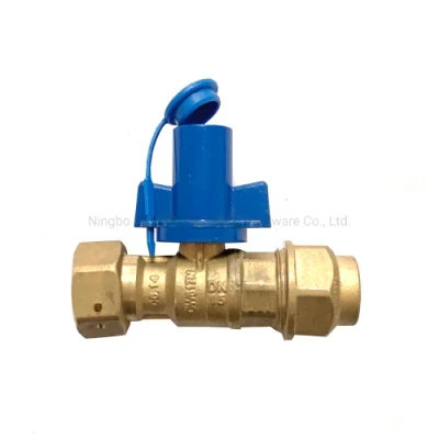 HDPE 20mm X 3/4 " Movable Nut Brass Meter Ball Valve with Anti-Fraud Handle