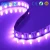 Import High light Waterproof IP65 SMD 5050 DC12V 14.4W RGB Led Strips from China