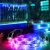Import High quality 24 key 2835 IP65 flexible led strip light waterproof cuttabl wireless neon led strip lamp for home hotel room decor from China